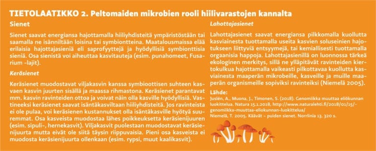 Tietolaatikko 2. Peltomaiden mikrobien rooli hiilivarastojen kannalta. Sienet saavat energiansa hajottamalla hiiliyhdisteitä ympäristöstään tai saamalla ne isänniltään loisina tai symbiontteina. Maatalousmaissa elää erilaisia hajottajasieniä eli saprofyyttejä ja hyödyllisiä symbionttisia sieniä. Osa sienistä voi aiheuttaa kasvitauteja (esim. punahomeet, Fusarium -lajit).
Keräsienet muodostavat viljakasvin kanssa symbioottisen suhteen kasvaen kasvin juurten sisällä ja maassa rihmastona. Keräsienet parantavat mm. kasvin ravinteiden ottoa ja voivat näin olla kasville hyödyllisiä. Vastineeksi keräsienet saavat isäntäkasviltaan hiiliyhdisteitä. Jos ravinteista ei ole pulaa, voi keräsienen kustannukset olla isäntäkasville hyötyä suuremmat. Osa kasveista muodostaa lähes poikkeuksetta keräsienijuuren (esim. sipuli-, hernekasvit). Viljakasvit puolestaan muodostavat keräsienijuurta mutta eivät ole siitä täysin riippuvaisia. Pieni osa kasveista ei muodosta keräsienijuurta ollenkaan (esim. rypsi, muut kaalikasvit). Lahottajasienet saavat energiansa pilkkomalla kuollutta kasviainesta tuottamalla useita kasvien soluseinien hajotukseen liittyviä entsyymejä, tai kemiallisesti tuottamalla orgaanisia happoja. Lahottajasienillä on luonnossa tärkeä ekologinen merkitys, sillä ne ylläpitävät ravinteiden kiertokulkua hajottamalla vaikeasti pilkottavaa kuollutta kasviainesta maaperän mikrobeille, kasveille ja muille maaperän organismeille sopiviksi ravinteiksi (Niemelä 2005). Lähde: Juslén, A., Muona, J., Timonen, S. (2018). Genomiikka muuttaa eliökunnan luokittelua. Natura 15.1.2018, http://www.naturalehti.fi/2018/01/15/genomiikka-muuttaa-eliokunnan-luokittelua/
Niemelä, T. 2005. Käävät – puiden sienet. Norrlinia 13. 320 s.