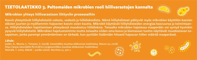Tietolaatikko 3. Peltomaiden mikrobien rooli hiilivarastojen kannalta. Mikrobien yhteys hiilivarastoon liittyviin prosesseihin.
Kasvit yhteyttävät hiiliyhdisteitä valosta, vedestä ja hiilidioksidista. Nämä hiiliyhdisteet päätyvät myös mikrobien käyttöön kasvien elävien juurten ja myöhemmin hajoavien kasvin osien kautta. Mikrobit käyttävät hiiliyhdisteiden energiaa kasvuunsa ja toimintaansa. Hiiliyhdisteiden hajottamisen yhteydessä muodostuu hiilidioksia. Toisaalta mikrobien hajotessa maaperään voi syntyä hyvinkin pysyviä hiiliyhdisteitä. Mikrobien hajotustoiminta mutta toisaalta niiden oma kasvu ja biomassan tuotto näyttävät muodostavan tasapainon, jonka parempi ymmärtäminen on tärkeää, kun pyritään lisäämään hitaasti hajoavan hiilen määrää maaperässä. Lähde: Juslén, A., Muona, J., Timonen, S. (2018). Genomiikka muuttaa eliökunnan luokittelua. Natura 15.1.2018, http://www.naturalehti.fi/2018/01/15/genomiikka-muuttaa-eliokunnan-luokittelua/
Niemelä, T. 2005. Käävät – puiden sienet. Norrlinia 13. 320 s.