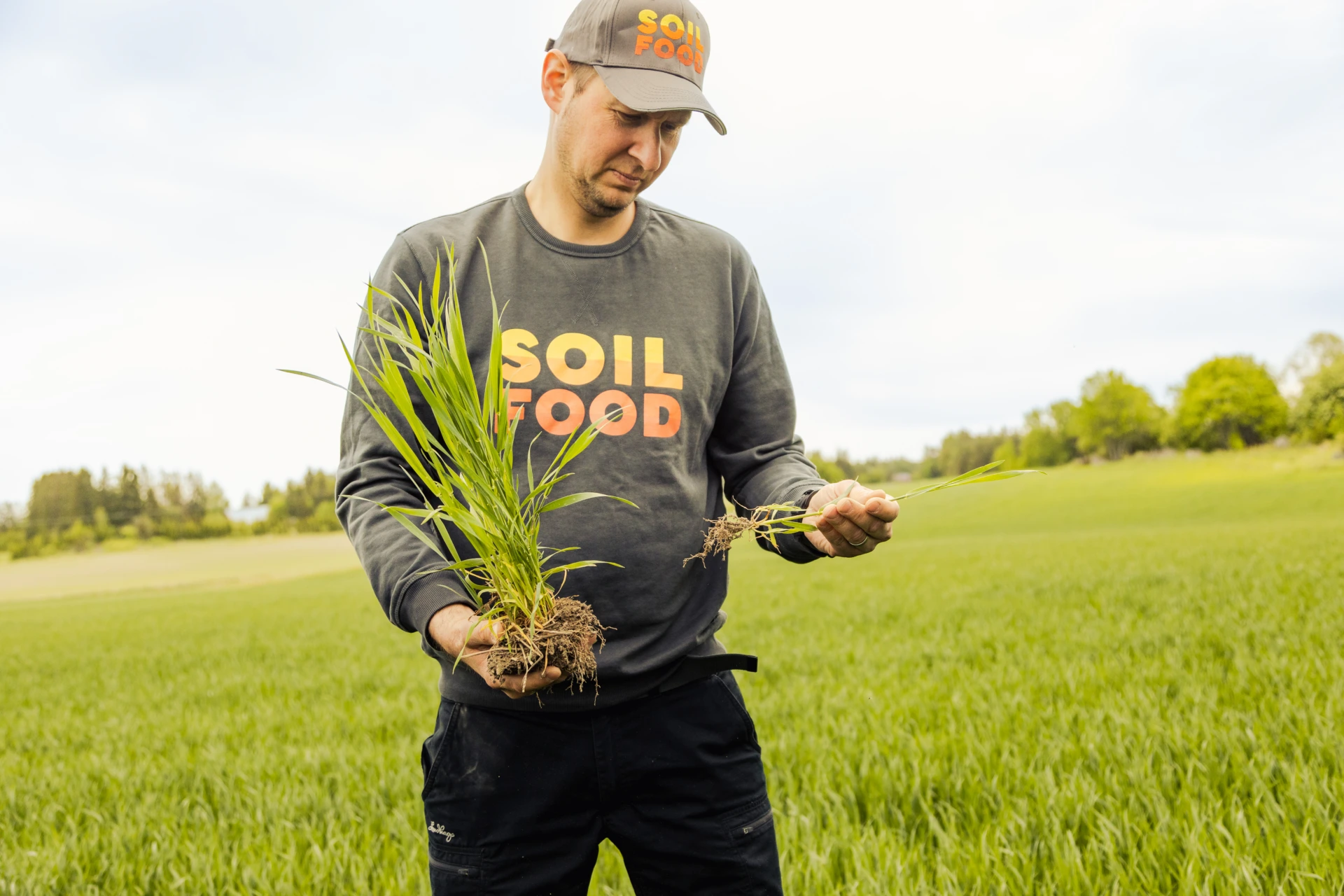 Antti Ruissalo, Soilfood